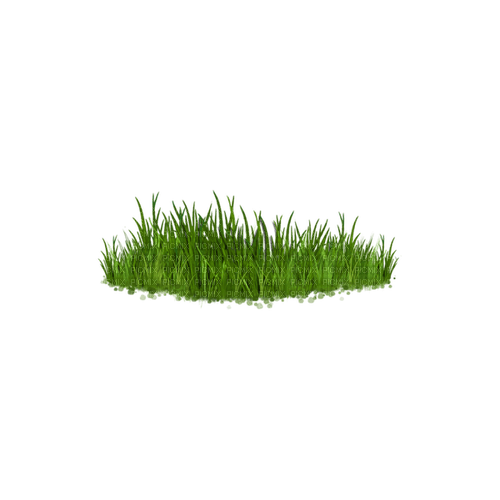 kikkapink deco scrap grass green - png ฟรี