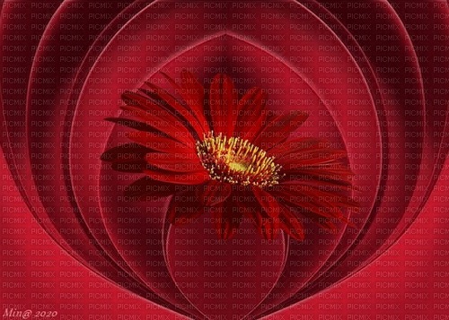bg-background-flower-red--röd-min - PNG gratuit