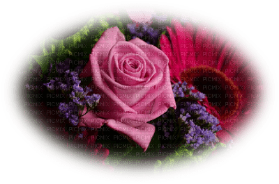 patymirabelle fleurs rose - Free PNG
