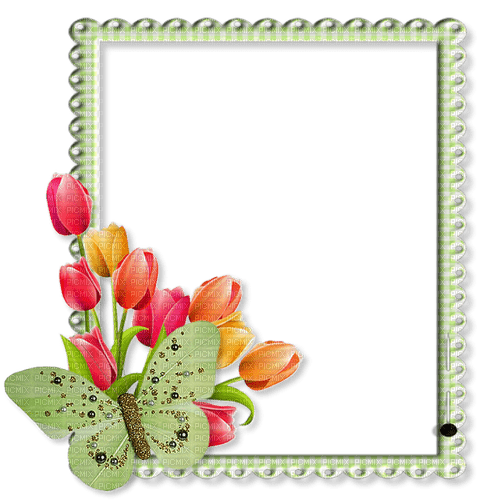 Rahmen, Grün, Tulpen, Schmetterling, transparent - PNG gratuit