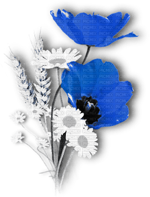soave deco flowers poppy daisy spring branch - png gratis