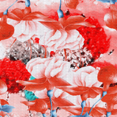 BG.spring.anim.flowers.red.idca - Бесплатный анимированный гифка