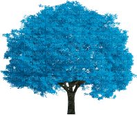 Baum - ücretsiz png