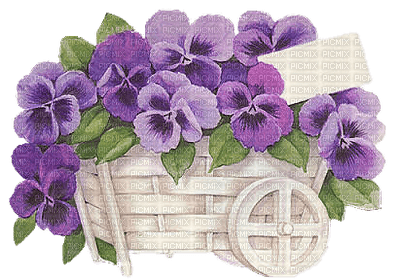 pansy flowers bp - Free PNG