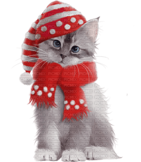 loly33 chat hiver - png gratuito
