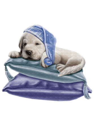 dog chien hund tube animal sleep night nuit - безплатен png