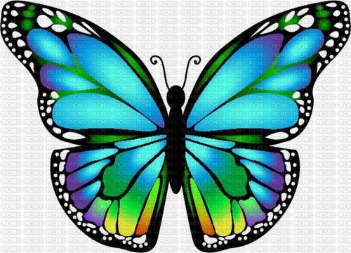 mariposa adolgian - png gratis