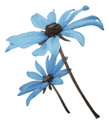 fleur bleu.Cheyenne63 - png gratuito