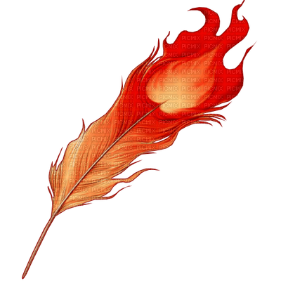 feather - zdarma png