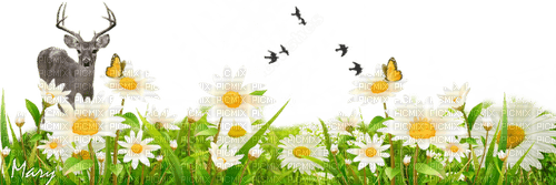 meadow flowers Bb2 - 無料png