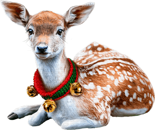 Deer.Brown.White.Red.Green.Gold - zadarmo png