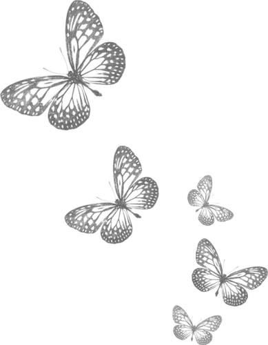 papillonGS - png gratis
