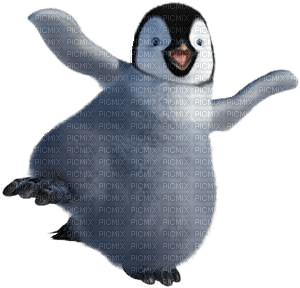 pinguino - gratis png