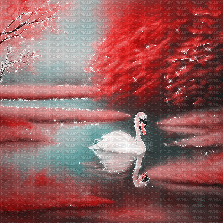 kikkapink autumn background swan lake - Animovaný GIF zadarmo