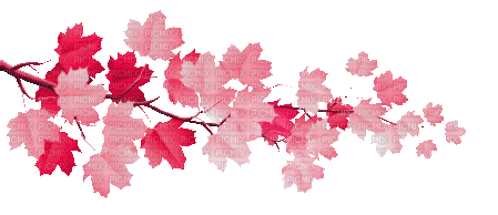 soave deco autumn animated leaves branch pink - Безплатен анимиран GIF