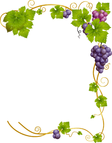 grape vine Bb2 - 免费PNG