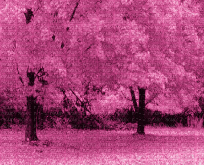Kaz_Creations Deco  Trees Backgrounds Background Colours - Zdarma animovaný GIF