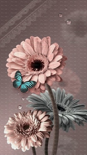 Flowers and Butterfly - ücretsiz png