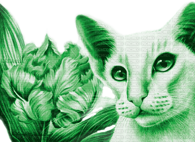 Y.A.M._Art Fantasy cat green - kostenlos png