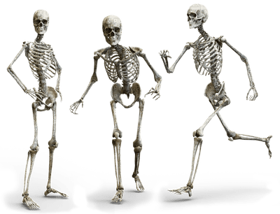 skeleton bp - PNG gratuit