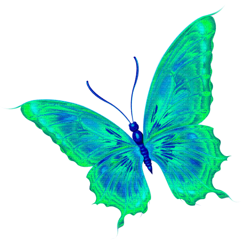 Butterfly.Green.Blue - ilmainen png