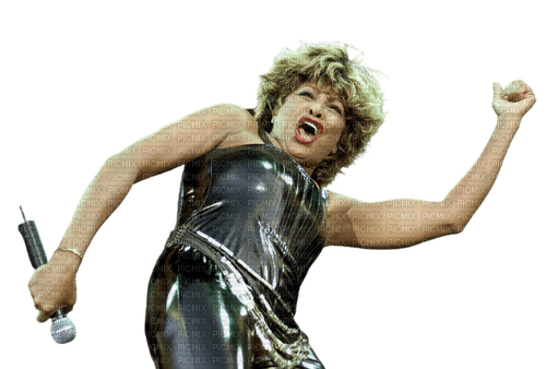 Tina Turner - png ฟรี