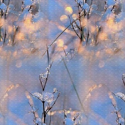 background-winter-minou-m - bezmaksas png