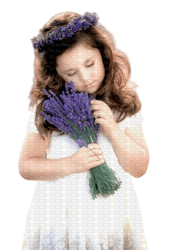 Little girl with Lavender - besplatni png