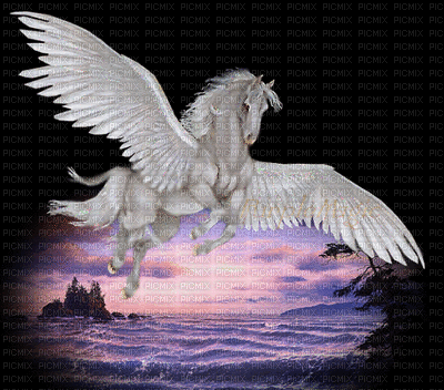 Pegasus bp - Kostenlose animierte GIFs