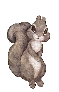 écureuil timide - GIF animé gratuit