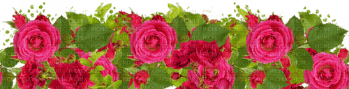 roses/decoration - png ฟรี