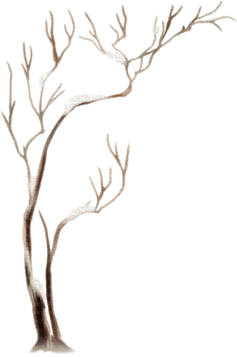kikkapink deco tree branch winter white brown - 免费PNG
