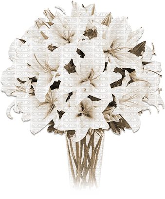 soave deco vase flowers spring lilies sepia - 免费PNG