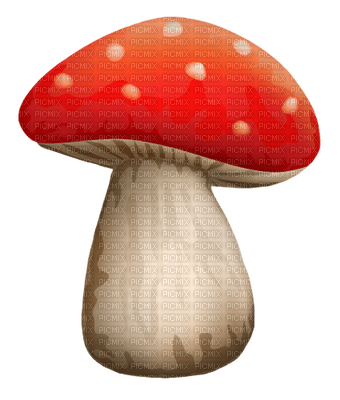 Kaz_Creations  Mushrooms Mushroom - бесплатно png