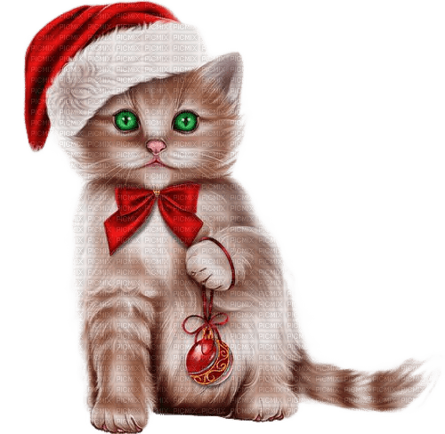 christmas cat - PNG gratuit
