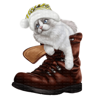 Kaz_Creations Cat Kitten In Boot Colours - ingyenes png