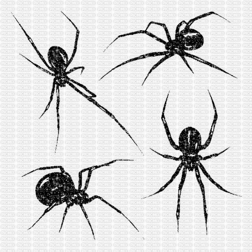 Sparkle Spider - PNG gratuit