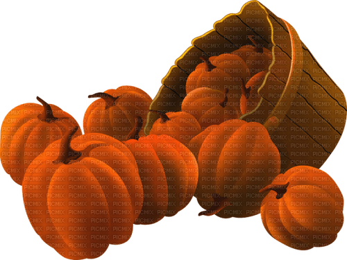 pumpkin basket Bb2 - ingyenes png