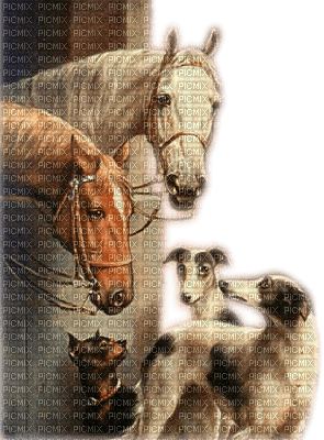 horses and dogs - PNG gratuit