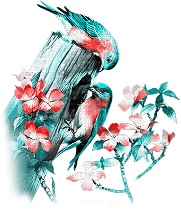 soave deco spring bird branch flowers pink teal - gratis png