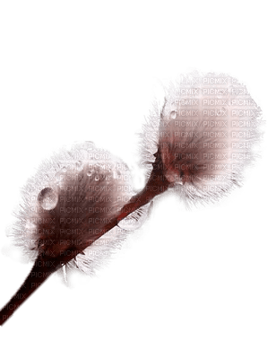 deco flowers anastasia - PNG gratuit