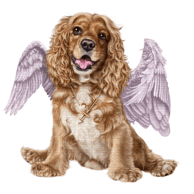 Kaz_Creations Dogs Dog Pup 🐶 - png grátis