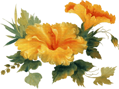fleur orange.Cheyenne63 - png gratis