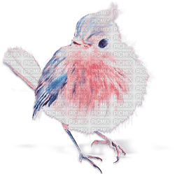 soave deco bird pastel spring pink blue - png ฟรี