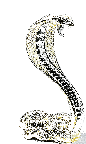 змея - 免费动画 GIF