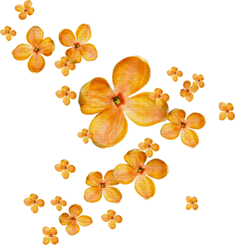 blommor-orange----flowers - png ฟรี