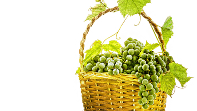 grapes bp - kostenlos png