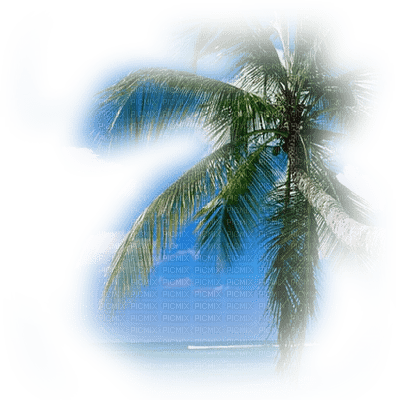 sea katrin - Free PNG