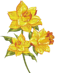 Flowers yellow bp - GIF animado grátis