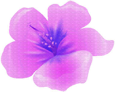 purple animated flower, animated , flower , deco , tube , gif , bg ,  background , vanessavalo - Free animated GIF - PicMix